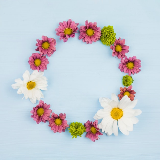 Top view of fresh flowers