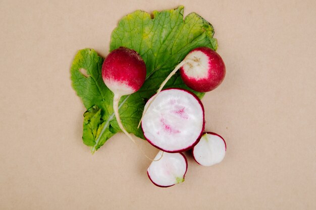 Top view of fresh garden radish isolated on rustic