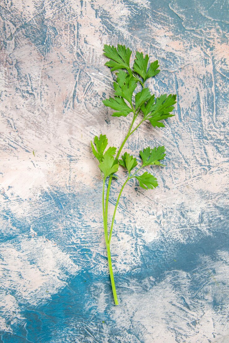 Free Photo top view fresh green leaf on light-blue background