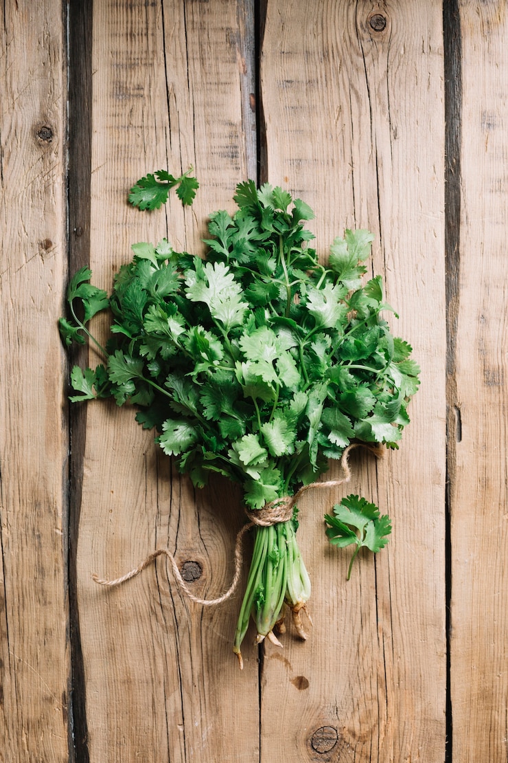 Free Photo top view fresh green parsley on wooden background