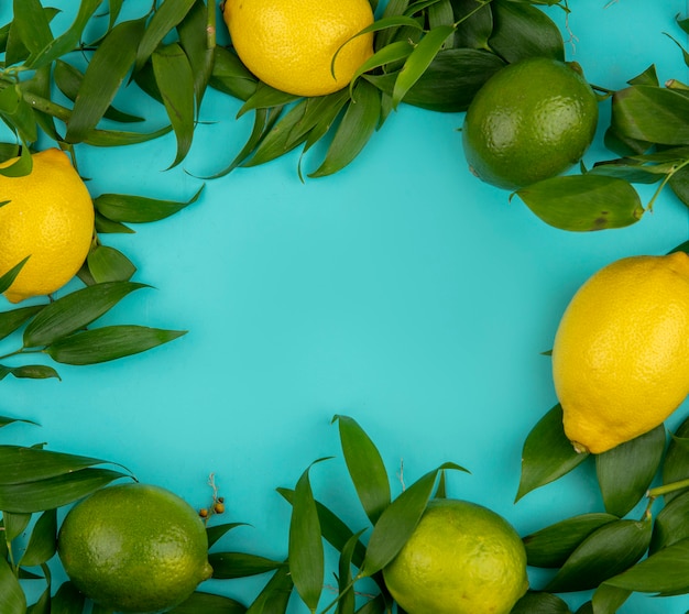 Top view of fresh green and yellow lemons with leaves on blue with copy space