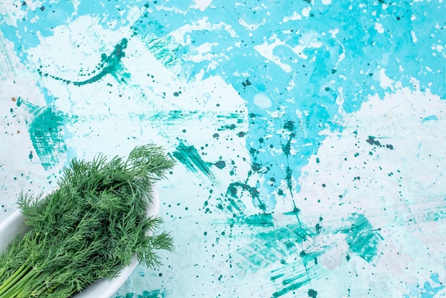 top view of fresh greens isolated inside plate on bright-blue, green leaf product food meal vegetable