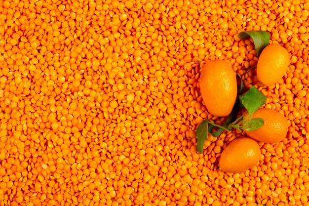 Top view of fresh kumquat on raw red lentils