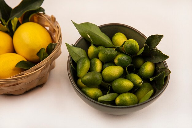 Top view of fresh lemons on a bucket with kinkans on a bowl on a white wall