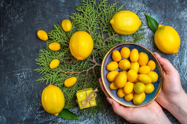 Top view of fresh lemons with leaves hand holding a plate with kumquats on fir branches a gift box on dark background