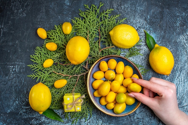 Вид сверху свежих лимонов с листьями, рука берет одну из еловых веток кумквата в подарочной коробке на темном фоне