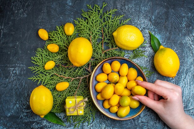 Top view of fresh lemons with leaves hand taking one of kumquats fir branches a gift box on dark background