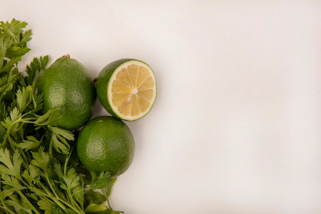 Free photo top view of fresh limes with parsley isolated on a white wall with copy space