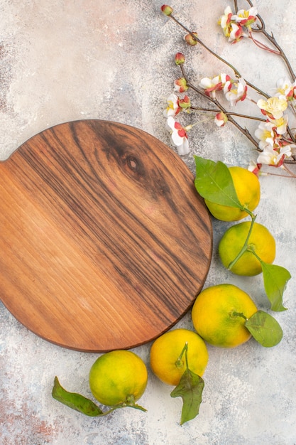 Free photo top view fresh mandarines apricot blossom branch a cutting board on nude background