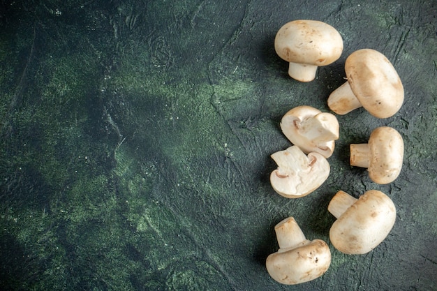 Top view fresh mushrooms on gray background plant tree wild food vegetable ripe