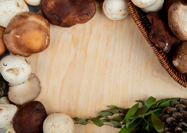 Top view of fresh mushrooms on rustic wood