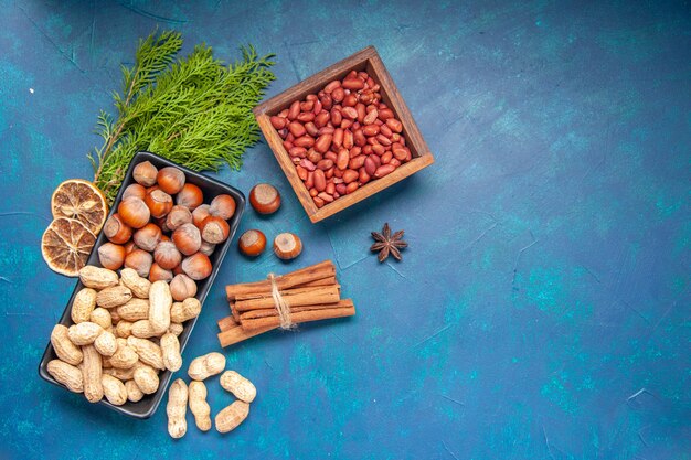 Top view fresh nuts cinnamon hazelnuts and peanuts inside plate on blue background walnut color snack cips nut photo plant tree