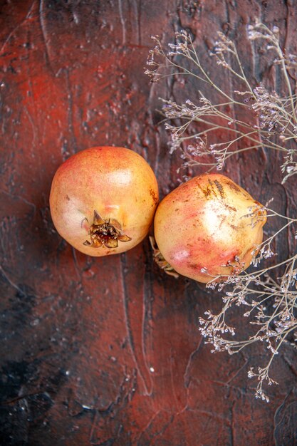 上面図新鮮なザクロは、濃い赤の背景に野生の花の枝を乾燥しました