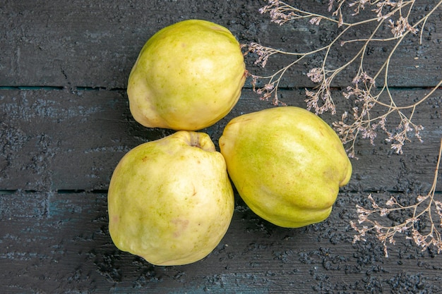 Foto gratuita vista dall'alto mele cotogne fresche frutti dolci e acidi su una pianta da scrivania blu scuro albero da frutto fresco e acido maturo