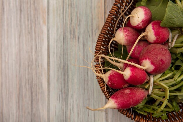 Top view of fresh radishes on a bucket on a grey wooden surface with copy space