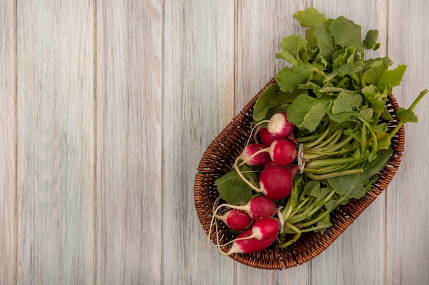 Top view of fresh radishes on a bucket with leaves on a grey wooden wall with copy space