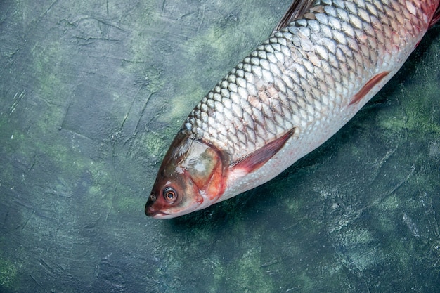 紺色の背景に新鮮な生の魚の上面図