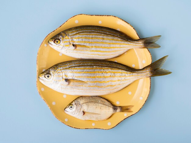 Top view fresh raw fish on plate