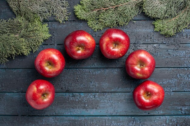 Top view fresh red apples mellow ripe fruits on dark-blue desk plant fruits color fresh vitamine red