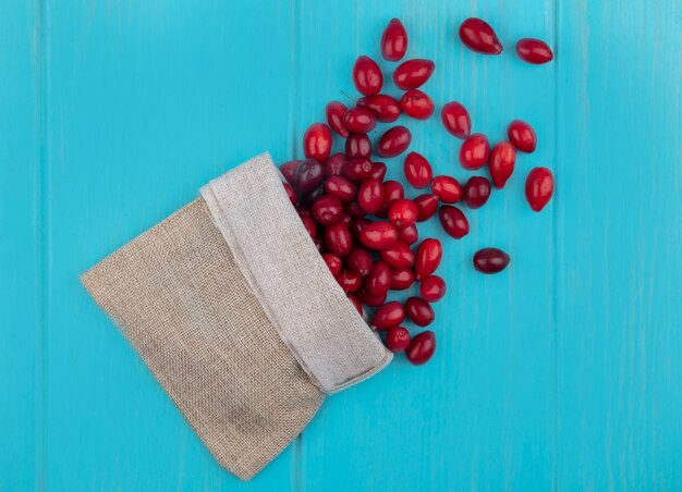Top view of fresh red cornel berries falling out of the burlap bag on a blue wooden background