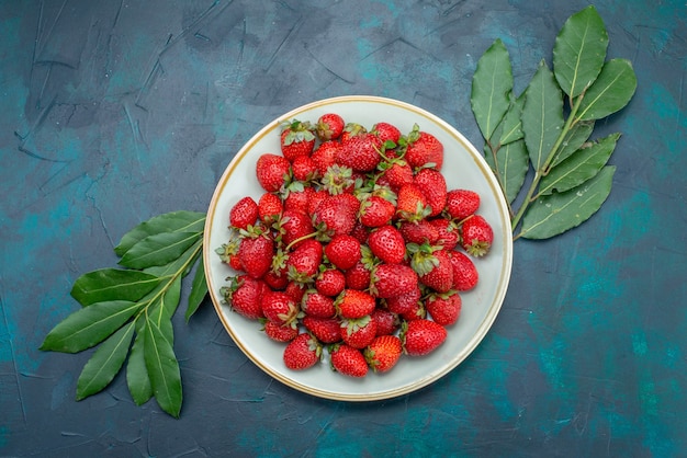 Top view fresh red strawberries mellow fruits berries inside plate on dark blue background berry fruit mellow summer