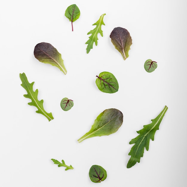 Top view fresh salad leaves on the table