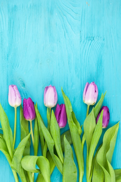 Free photo top view of fresh spring tulips over turquoise colored table