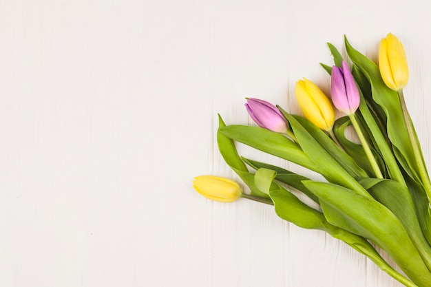 Top view of fresh tulips