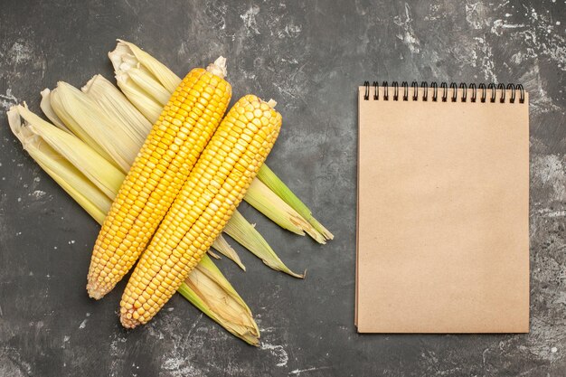 Top view fresh yellow corns with notepad on dark background