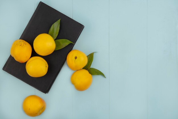 Top view of fresh yellow peaches isolated on a blue background with copy space