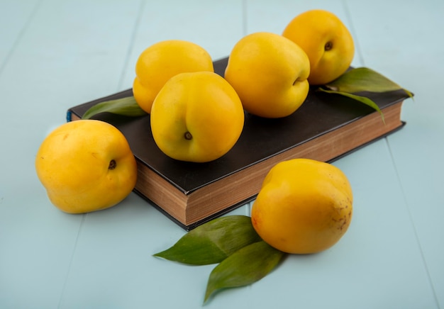 Top view of fresh yellow peaches isolated on a blue background