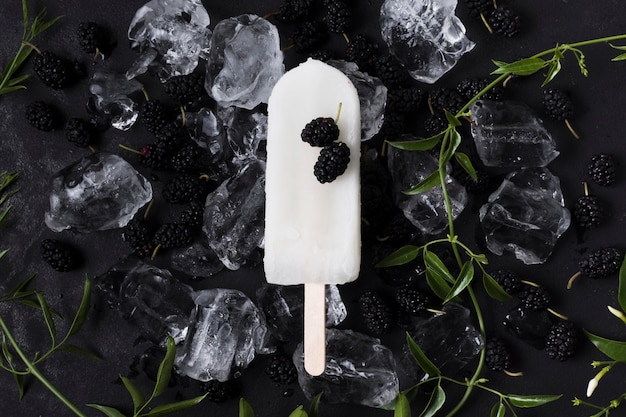 top view frozen ice cream with berries