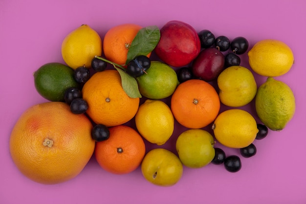 Free photo top view fruit mix grapefruit  oranges  lemons  limes  plum  cherry plum and peach on a pink background