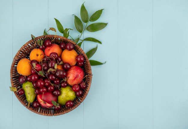 Top view of fruits as cherry peach apricot pear in basket with leaves on blue background with copy space