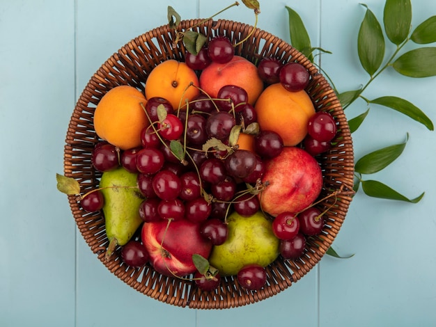 Вид сверху на фрукты как вишневый персик, абрикос, груша в корзине с листьями на синем фоне
