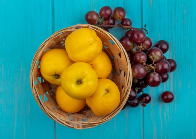 Top view of fruits as nectacots in basket and grape on blue background