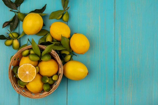 Top view of fruits such as kinkans and lemons on bucket with lemons and kinkans isolated on a blue wooden surface with copy space