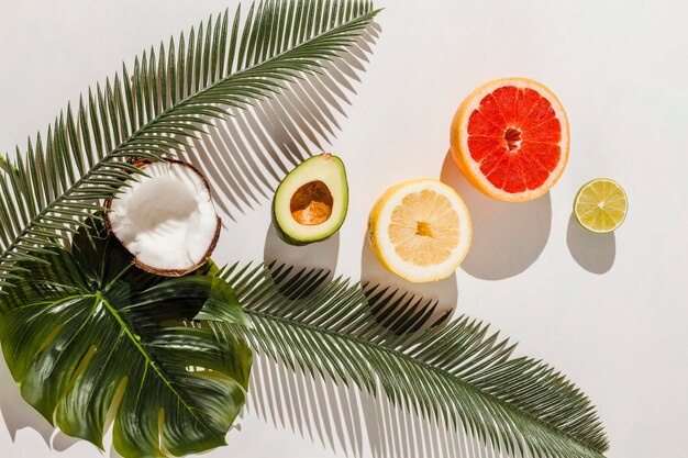 Top view fruits on white background