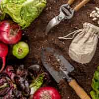 Free photo top view of garden tool with veggies