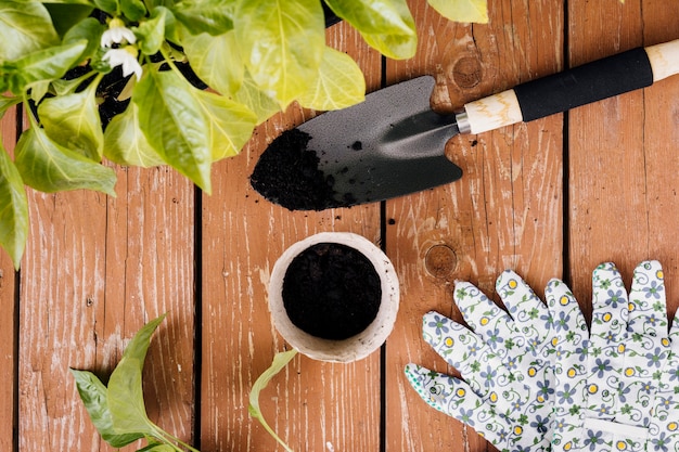 Foto gratuita composizione di giardinaggio vista dall'alto