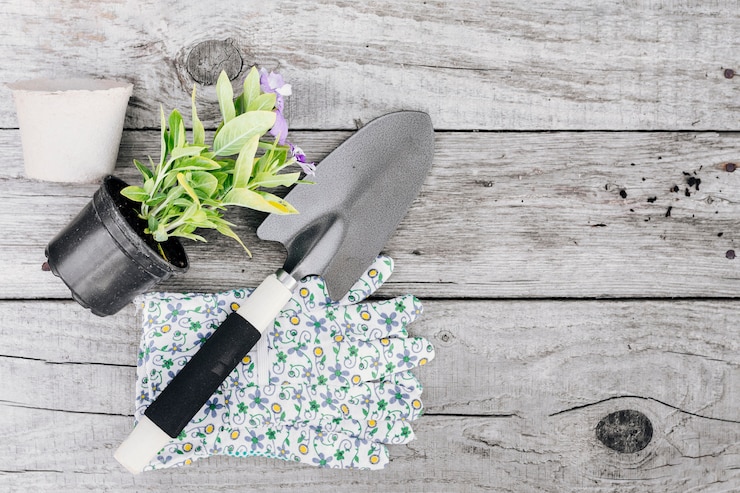 Free Photo top view gardening concept composition