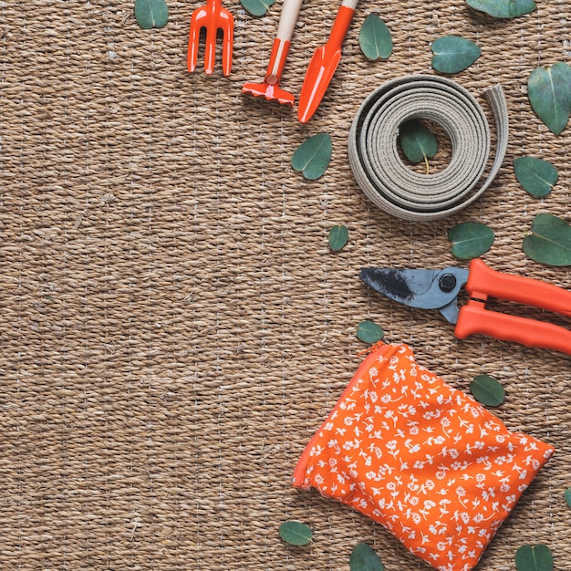 Top view gardening elements