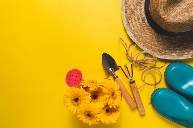 Top view of gardening items on yellow background