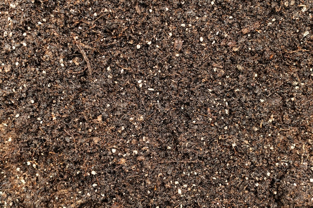 Top view gardening soil