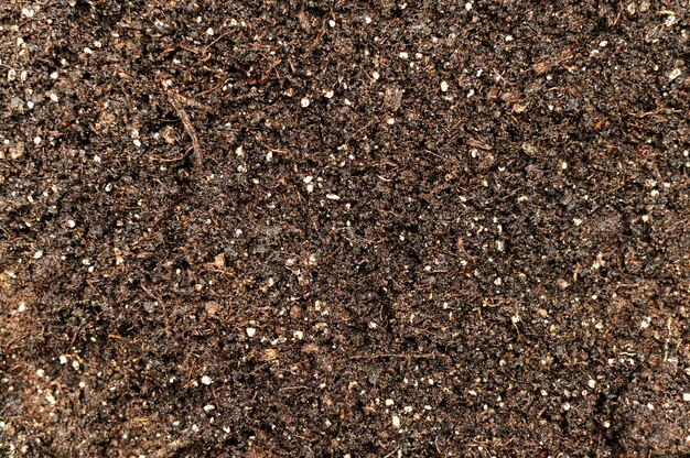 Top view gardening soil