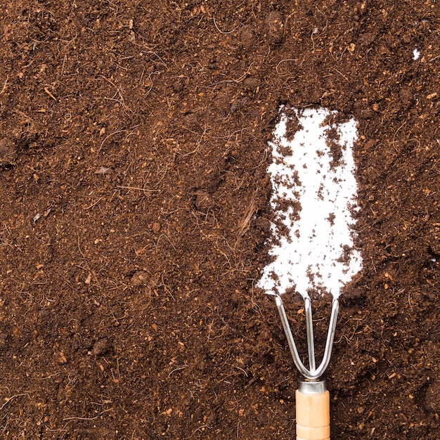 Free photo top view gardening tool on soil