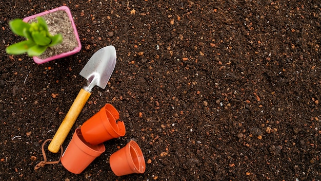 Top view gardening tools and flower pot