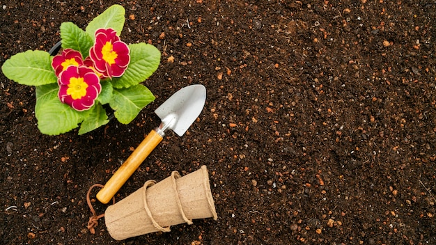 Top view gardening tools and flower pot