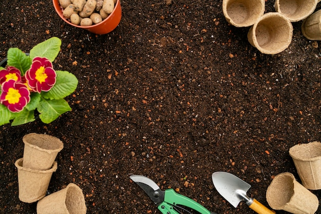 Top view gardening tools and flower pot