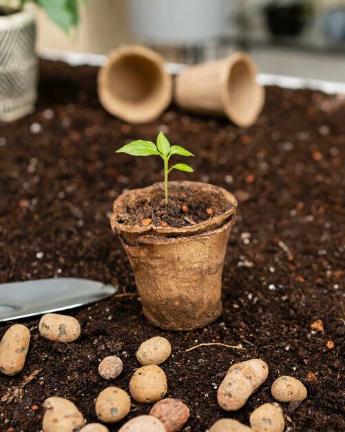 Top view gardening tools and flower pot